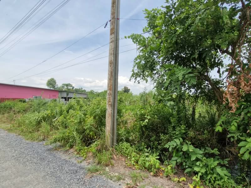 ที่ดินหนองจอก กรุงเทพมหานคร, Bangkok, Khlong Sip, Nong Chok, Bangkok, , 800 sqm, Land For Sale, by The Best Property ข้าว, 500414959 - DDproperty.com
