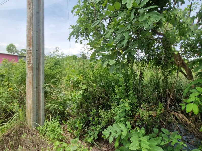 ที่ดินหนองจอก กรุงเทพมหานคร, กรุงเทพ, คลองสิบ, หนองจอก, กรุงเทพ, 800 ตร.ม., ที่ดิน ขาย, โดย The Best Property ข้าว, 500414959 - DDproperty.com
