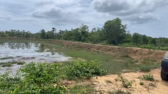 13 Rais Nongka square, Prachuap Khiri Khan, Pran Buri, Prachuap Khiri Khan, , 20,800 sqm, Land For Sale, by Manuel Juromay, 500415036 - DDproperty.com