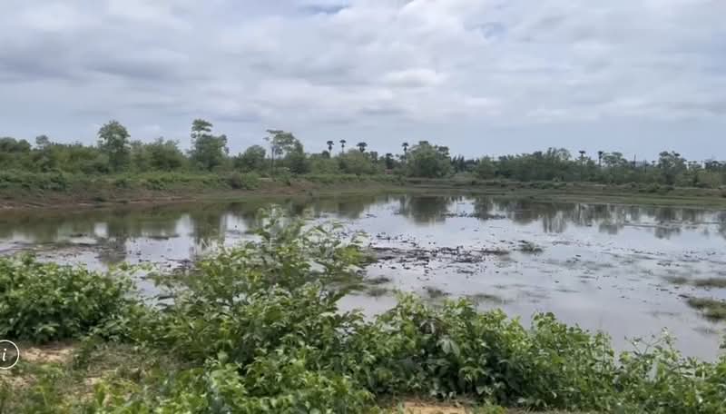 13 Rais Nongka square, Prachuap Khiri Khan, Pran Buri, Prachuap Khiri Khan, , 20,800 sqm, Land For Sale, by Manuel Juromay, 500415036 - DDproperty.com