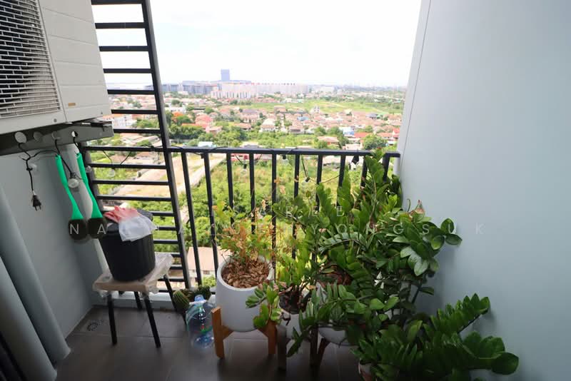 The Base Chaengwattana, Nonthaburi, Chaeng Watthana Road, Khlong Klue, Pak Kret, Nonthaburi, 1 Bedroom, 26 sqm, Condo For Sale, by Isaree Nakhayuenyongsuk, 500415139 - คอนโดปากเกร็ด เดอะเบสแจ้งวัฒนะ เมืองทอง  - DDproperty.com