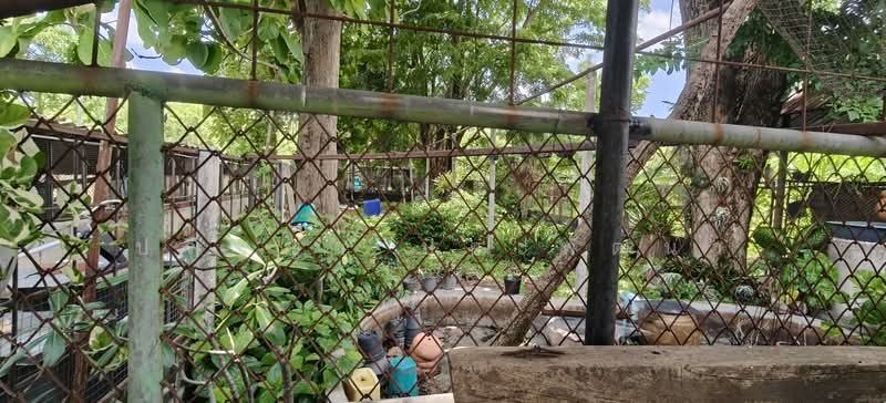 ทับกวาง, สระบุรี, ทับกวาง, แก่งคอย, สระบุรี, 100 ตร.ม., บ้านเดี่ยว ขาย, โดย ปริญญา ปิยะพัฒนา, 500415141 - DDproperty.com