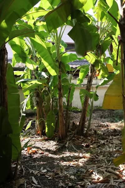 บ้าน 1-ห้องนอน, กรุงเทพ, วัดท่าพระ, บางกอกใหญ่, กรุงเทพ, 47 ตร.ม., บ้านเดี่ยว ขาย, โดย Patcharaporn Binsorlae, 500415147 - DDproperty.com
