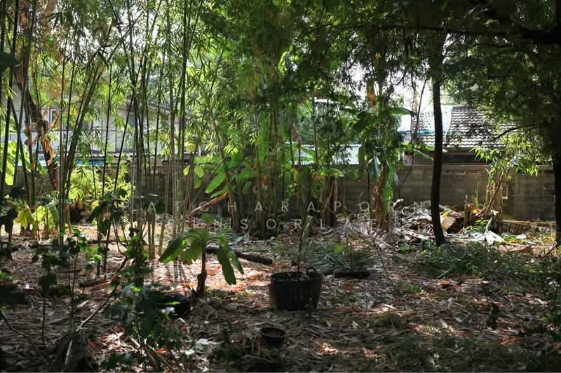 บ้าน 1-ห้องนอน, กรุงเทพ, วัดท่าพระ, บางกอกใหญ่, กรุงเทพ, 47 ตร.ม., บ้านเดี่ยว ขาย, โดย Patcharaporn Binsorlae, 500415147 - DDproperty.com