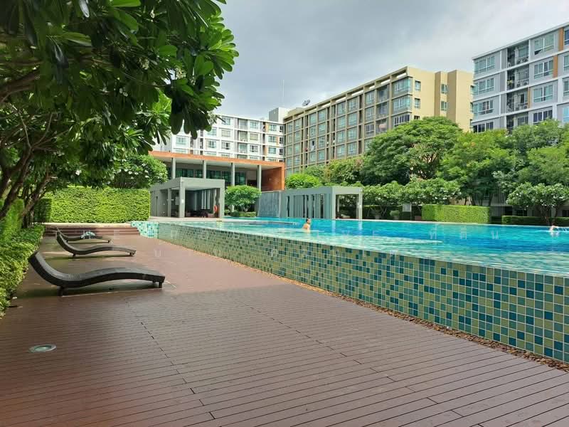 Dcondo Sign, Chiang Mai, Hwy Chiang Mai-Lampang Frontage Road, Fa Ham, Muang Chiang Mai, Chiang Mai, Studio, 30 sqm, Condo For Rent, by The Positive ที่ดิน บ้าน คอนโด, 500415283 - DDproperty.com