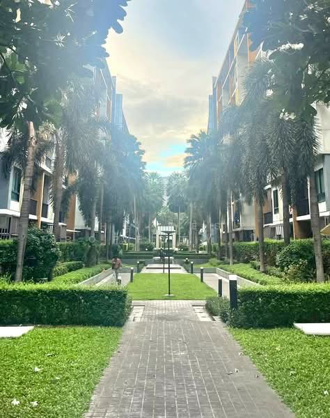 iCondo Sukhumvit 105, Bangkok, 20 Soi Lasalle 19,  Sukhumvit 105 Road, Bang Na, Bangkok, 1 Bedroom, 29 sqm, Condo For Sale, by The Best Property นิด, 500415323 - DDproperty.com