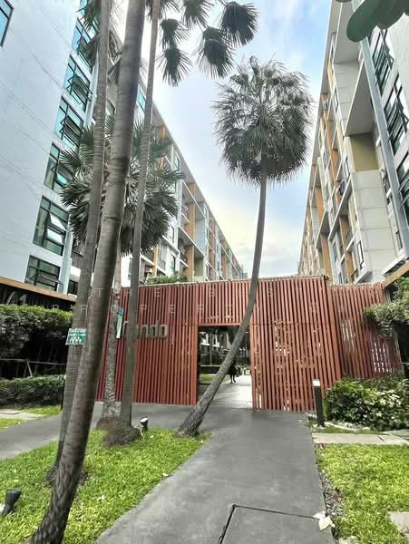 iCondo Sukhumvit 105, Bangkok, 20 Soi Lasalle 19,  Sukhumvit 105 Road, Bang Na, Bangkok, 1 Bedroom, 29 sqm, Condo For Sale, by The Best Property นิด, 500415323 - DDproperty.com