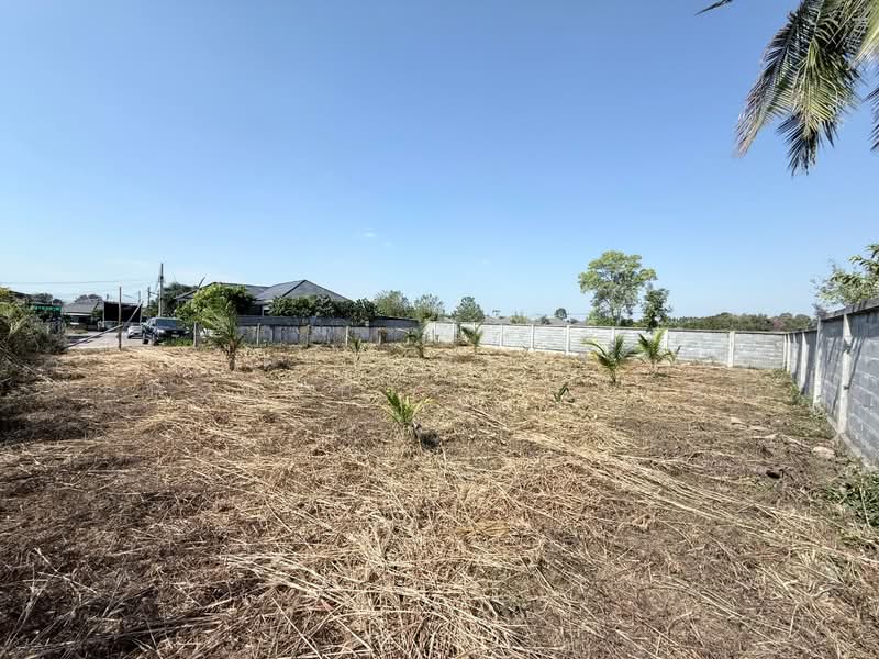 ที่ดินบางละมุง ชลบุรี, Chon Buri (Pattaya), Nong Pla Lai, Bang Lamung (Pattaya), Chon Buri (Pattaya), , 624 sqm, Land For Sale, by The Best Property ไข่นุ้ย, 500415325 - DDproperty.com