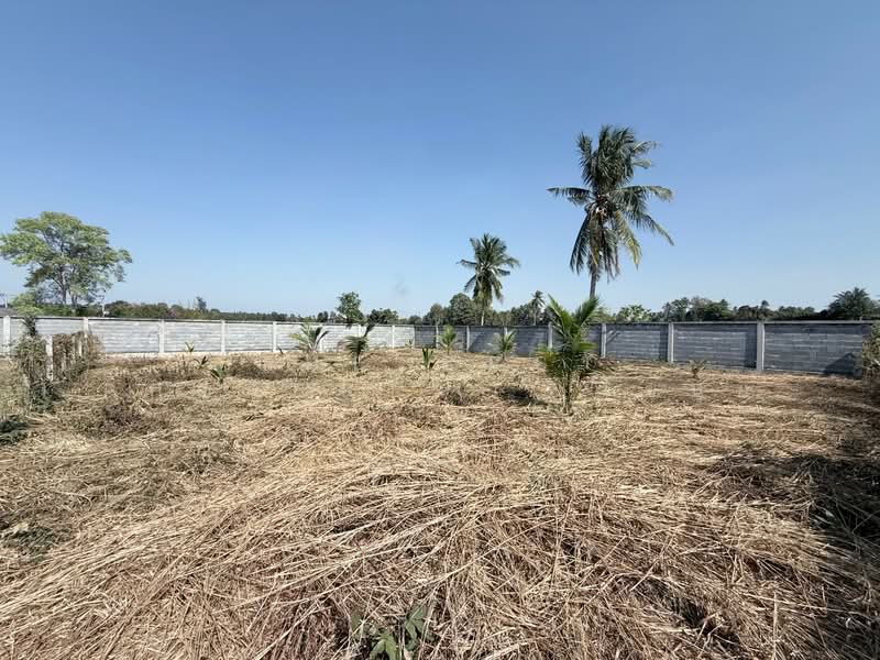 ที่ดินบางละมุง ชลบุรี, Chon Buri (Pattaya), Nong Pla Lai, Bang Lamung (Pattaya), Chon Buri (Pattaya), , 624 sqm, Land For Sale, by The Best Property ไข่นุ้ย, 500415325 - DDproperty.com