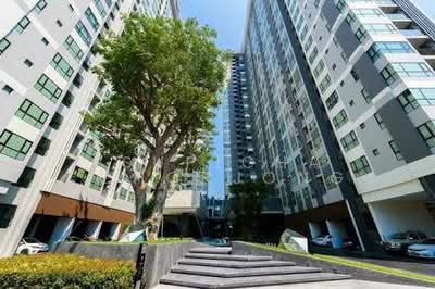 ขาย - The Base Central Pattaya : เดอะ เบส เซ็นทรัล พัทยา, ชลบุรี