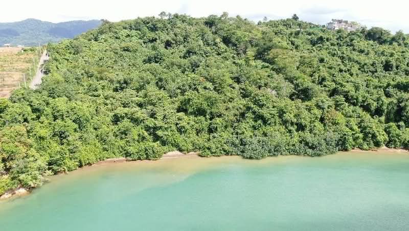 อ่าวปอ, Phuket, Pa Khlok, Thalang, Phuket, , 41,808 sqm, Land For Sale, by Pawarisa Shanivet, 500415379 - DDproperty.com