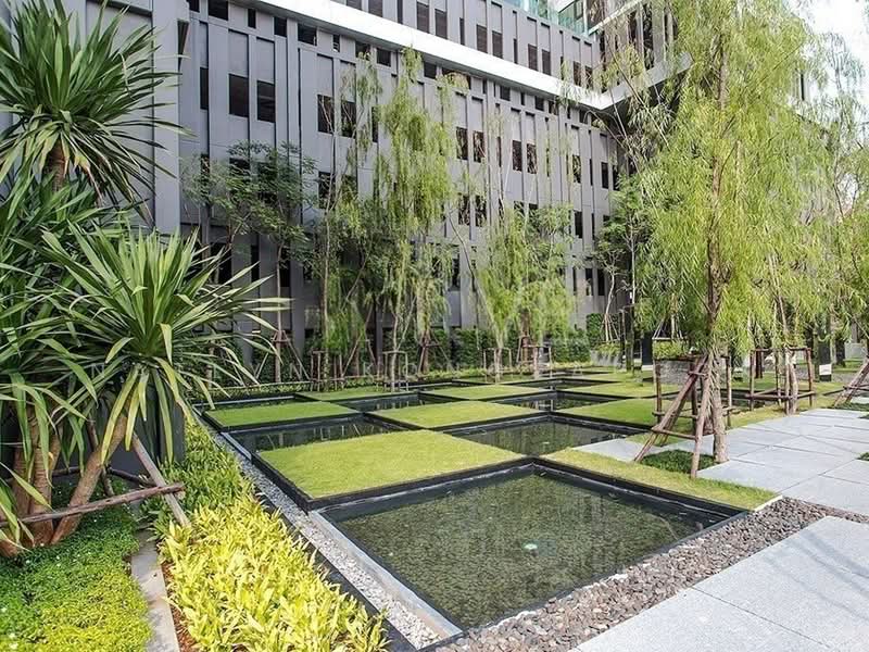 Rhythm Sukhumvit 36-38, Bangkok, 55 Soi Sukhumvit 36, Sukhumvit Road, Phra Kanong, Khlong Toei, Bangkok, 1 Bedroom, 33 sqm, Condo For Rent, by Natlyn Kongsapook, 500415403 - DDproperty.com