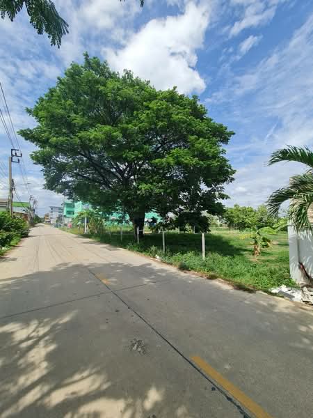 ขายด่วน! ที่ดินถมแล้ว 1 ไร่ ทำเลทองบางบัวทอง-นนทบุรี ใกล้ถนนใหญ่และศูนย์กระจายสินค้าชั้นนำ, Nonthaburi, Lahan, Bang Bua Thong, Nonthaburi, , 1,600 sqm, Land For Sale, by ERA Thailand, 500415436 - DDproperty.com
