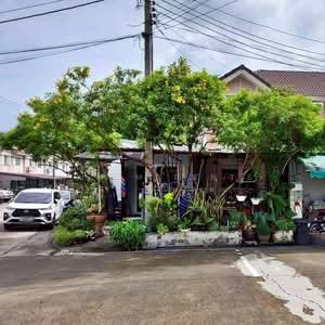ขาย - Pruksa Ville 31 Saimai 33 : พฤกษาวิลล์ 31 สายไหม 33, กรุงเทพ
