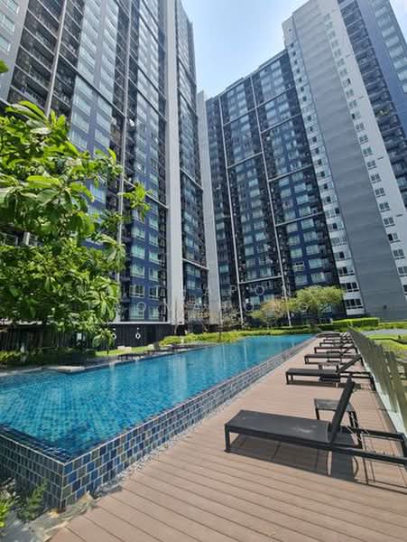 The Base Sukhumvit 77 : เดอะ เบส สุขุมวิท 77, กรุงเทพ, 289 ถนนสุขุมวิท 77, พระโขนงเหนือ, วัฒนา, กรุงเทพ, 30 ตร.ม., คอนโด ให้เช่า, โดย Natthapong Laomahong, 500415619 - DDproperty.com