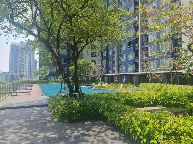 The Base Sukhumvit 77 : เดอะ เบส สุขุมวิท 77, กรุงเทพ, 289 ถนนสุขุมวิท 77, พระโขนงเหนือ, วัฒนา, กรุงเทพ, 30 ตร.ม., คอนโด ให้เช่า, โดย Natthapong Laomahong, 500415619 - DDproperty.com