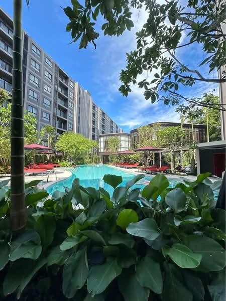THE Base Cherngtalay, Phuket, Choeng Thale, Thalang, Phuket, 1 Bedroom, 30 sqm, Condo For Rent, by PK LIFE Property, 500415677 - DDproperty.com