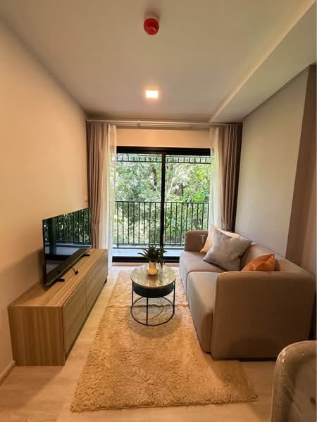 THE Base Cherngtalay, Phuket, Choeng Thale, Thalang, Phuket, 1 Bedroom, 30 sqm, Condo For Rent, by PK LIFE Property, 500415677 - DDproperty.com