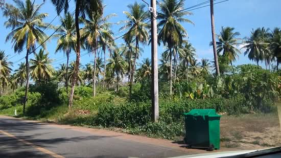 ที่ดินเปล่าแหลมปะการัง พังงา, Phangnga, Takua Pa, Takua Pa, Phangnga, , 149,060 sqm, Land For Sale, by Pawarisa Shanivet, 500415730 - DDproperty.com