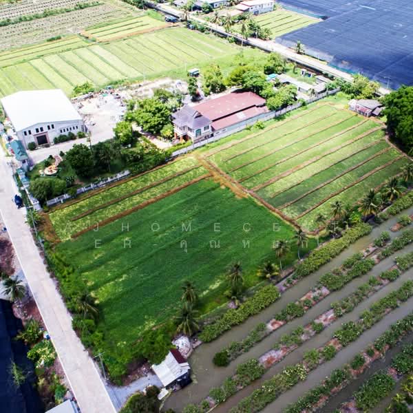 ที่ดินเปล่า 5-0-47 ไร่ ผังสีชมพู ติดถนน2ด้าน ซอย อบต.บางยาง, Samut Sakhon, Nong Nok Khai, Krathum Baen, Samut Sakhon, , 8,188 sqm, Land For Sale, by AJHOMECENTER-คุณหยก, 500415963 - DDproperty.com