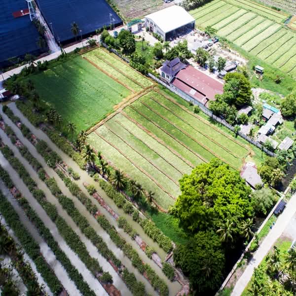 ที่ดินเปล่า 5-0-47 ไร่ ผังสีชมพู ติดถนน2ด้าน ซอย อบต.บางยาง, สมุทรสาคร, หนองนกไข่, กระทุ่มแบน, สมุทรสาคร, 8,188 ตร.ม., ที่ดิน ขาย, โดย AJHOMECENTER-คุณหยก, 500415963 - DDproperty.com