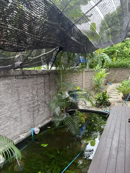 The Plant Chaengwattana : เดอะ แพลนท์ แจ้งวัฒนะ, นนทบุรี, ซอย แจ้งวัฒนะ-ปากเกร็ด 39, บ้านใหม่, ปากเกร็ด, นนทบุรี, 230 ตร.ม., บ้านเดี่ยว ให้เช่า, โดย Nubthong Kanchanatuppa, 500416243 - DDproperty.com