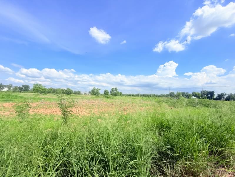 ติดถนนพหลโยธิน, Phra Nakhon Si Ayutthaya, Sanap Thup, Wang Noi, Phra Nakhon Si Ayutthaya, , 73,716 sqm, Land For Sale, by Panuwat Ruangrak, 500416294 - DDproperty.com
