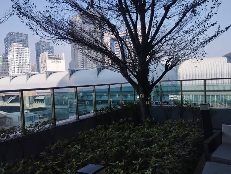 IDEO Verve Ratchaprarop, Bangkok, Ratchaprarop, Makkasan, Ratchathewi, Bangkok, 1 Bedroom, 58 sqm, Condo For Rent, by ศิริวรรณ เผือกใจแผ้ว, 500416339 - DDproperty.com