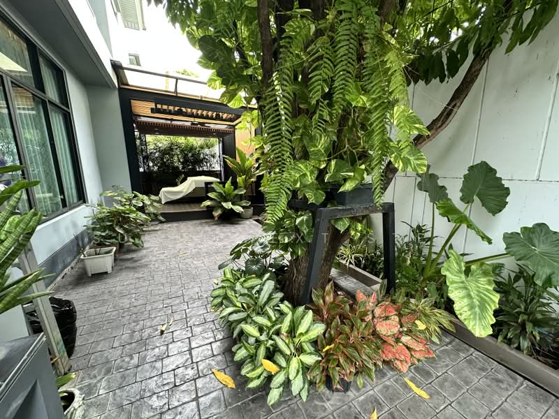 Setthasiri Pattanakarn : เศรษฐสิริ พัฒนาการ, กรุงเทพ, ถนนพัฒนาการ-อ่อนนุช (ตัดใหม่), ประเวศ, กรุงเทพ, 226 ตร.ม., บ้านเดี่ยว ขาย, โดย Sunny Next Step, 500416359 - DDproperty.com