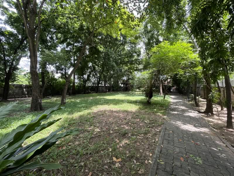 ที่ดินพหลโยธิน 30, กรุงเทพ, จันทรเกษม, จตุจักร, กรุงเทพ, 2,000 ตร.ม., ที่ดิน ขาย, โดย อภิมงคล สุขเกษม, 500416386 - DDproperty.com