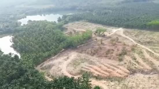 67 rai of vacant land in Phang Nga, surrounded by mountain views, Phangnga, Bang Muang, Takua Pa, Phangnga, , 107,852 sqm, Land For Sale, by Pawarisa Shanivet, 500416402 - DDproperty.com