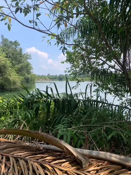 67 rai of vacant land in Phang Nga, surrounded by mountain views, Phangnga, Bang Muang, Takua Pa, Phangnga, , 107,852 sqm, Land For Sale, by Pawarisa Shanivet, 500416402 - DDproperty.com