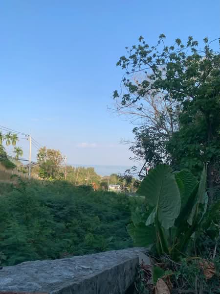 360-degree ocean view land for sale in Phuket, Ao Yon-Khao Khad area. Seeking joint ventures/investo, Phuket, Wichit, Muang Phuket, Phuket, , 27,200 sqm, Land For Sale, by Pawarisa Shanivet, 500416432 - DDproperty.com