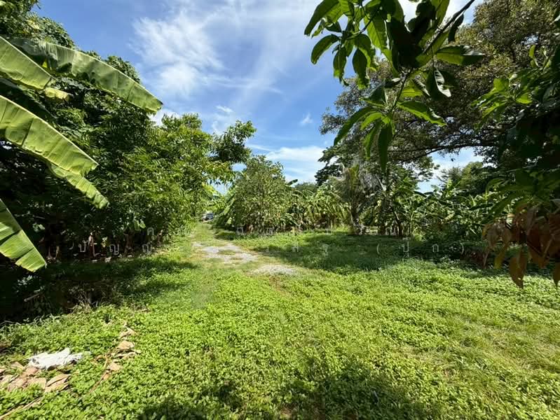 ที่ดิน+บ้าน 2 ไร่ 349.2 ตร.ว. ซอยเทิดราชัน39 ถนนวิภาวดีรังสิต, กรุงเทพ, ถนนวิภาวดีรังสิต, สีกัน, ดอนเมือง, กรุงเทพ, 4,597 ตร.ม., ที่ดิน ขาย, โดย คุณ ฉัตรปวีณ์ ปัญญาชัยวิสิฐ (ปุ๊ก), 500416839 - DDproperty.com