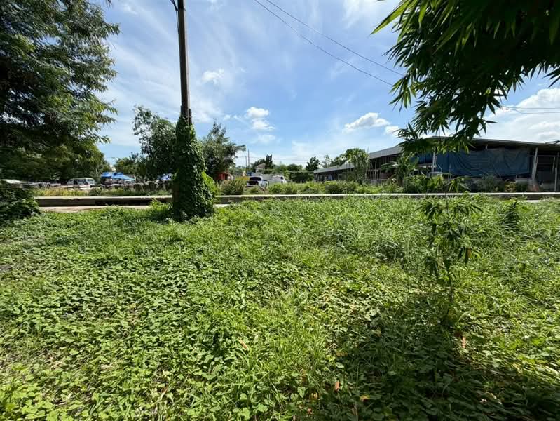 ที่ดิน+บ้าน 2 ไร่ 349.2 ตร.ว. ซอยเทิดราชัน39 ถนนวิภาวดีรังสิต, กรุงเทพ, ถนนวิภาวดีรังสิต, สีกัน, ดอนเมือง, กรุงเทพ, 4,597 ตร.ม., ที่ดิน ขาย, โดย คุณ ฉัตรปวีณ์ ปัญญาชัยวิสิฐ (ปุ๊ก), 500416839 - DDproperty.com