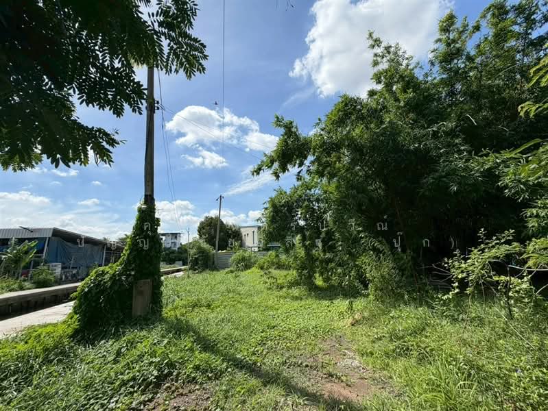 ที่ดิน+บ้าน 2 ไร่ 349.2 ตร.ว. ซอยเทิดราชัน39 ถนนวิภาวดีรังสิต, กรุงเทพ, ถนนวิภาวดีรังสิต, สีกัน, ดอนเมือง, กรุงเทพ, 4,597 ตร.ม., ที่ดิน ขาย, โดย คุณ ฉัตรปวีณ์ ปัญญาชัยวิสิฐ (ปุ๊ก), 500416839 - DDproperty.com