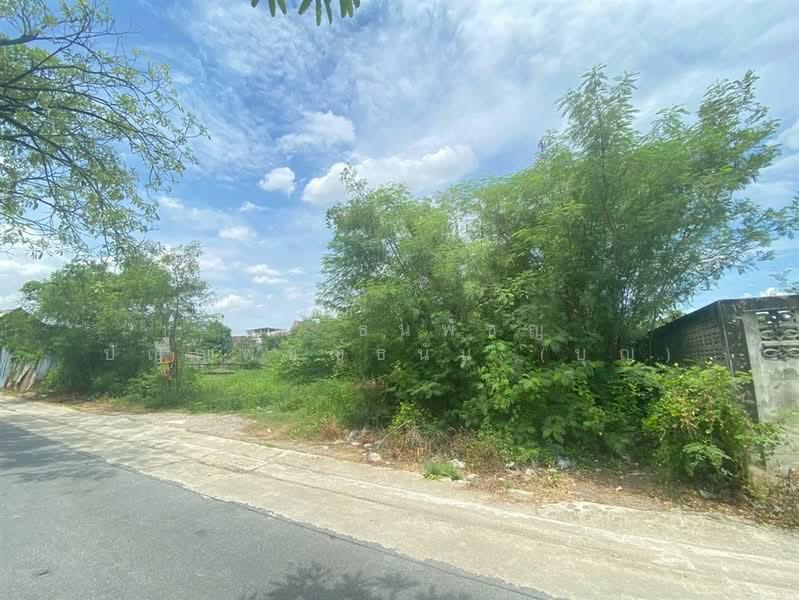 ที่ดินเปล่า 3 ไร่ 220 ตร.ว. ติดฝั่งด้านหลังวัดหนองแขม ซอยร่มเย็น ถนนพุทธสาคร, สมุทรสาคร, ถนนพุทธสาคร, สวนหลวง, กระทุ่มแบน, สมุทรสาคร, 5,680 ตร.ม., ที่ดิน ขาย, โดย คุณ ธนพัชญ์ ปัญญพัชญ์ธนัน (บุญ), 500416891 - DDproperty.com