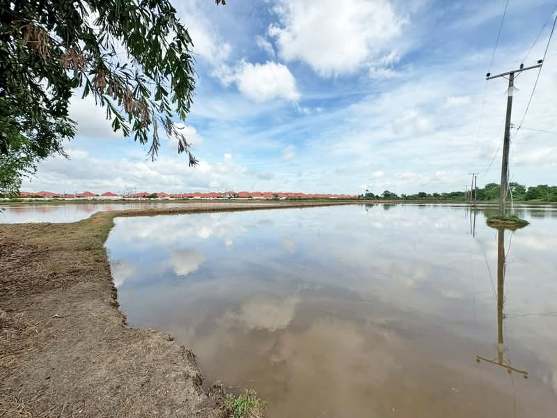 ที่ดินท่าไข่ ฉะเชิงเทรา, Chachoengsao, Tha Khai, Muang Chachoengsao, Chachoengsao, , 73,055 sqm, Land For Sale, by The Best Property เอ็ม, 500416892 - DDproperty.com