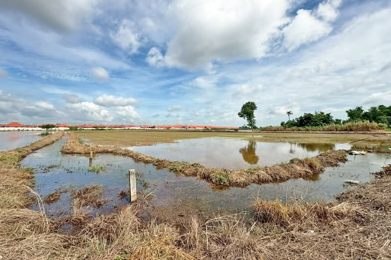 ที่ดินท่าไข่ ฉะเชิงเทรา, Chachoengsao, Tha Khai, Muang Chachoengsao, Chachoengsao, , 73,055 sqm, Land For Sale, by The Best Property เอ็ม, 500416892 - DDproperty.com