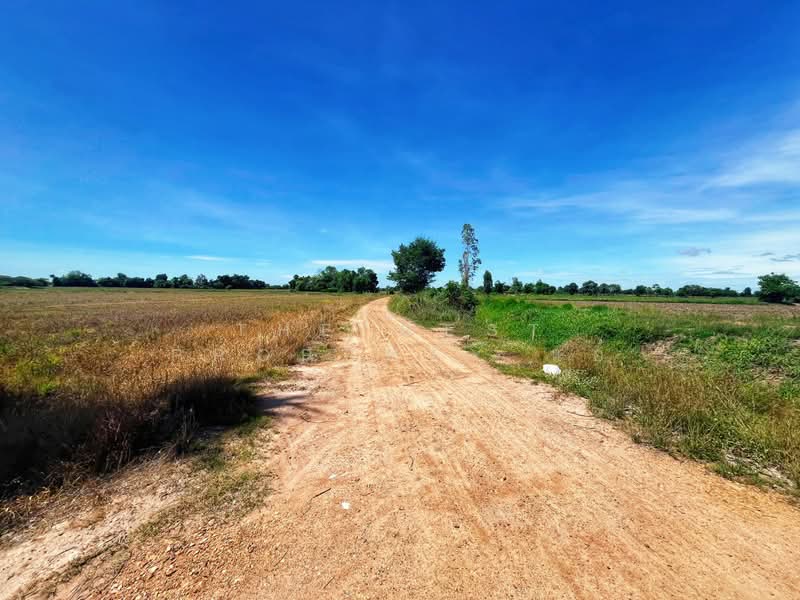 ที่ดินวัดสิงห์ ชัยนาท, Chai Nat, Nong Noi, Wat Sing, Chai Nat, , 12,376 sqm, Land For Sale, by The Best Property แอ้, 500416973 - DDproperty.com