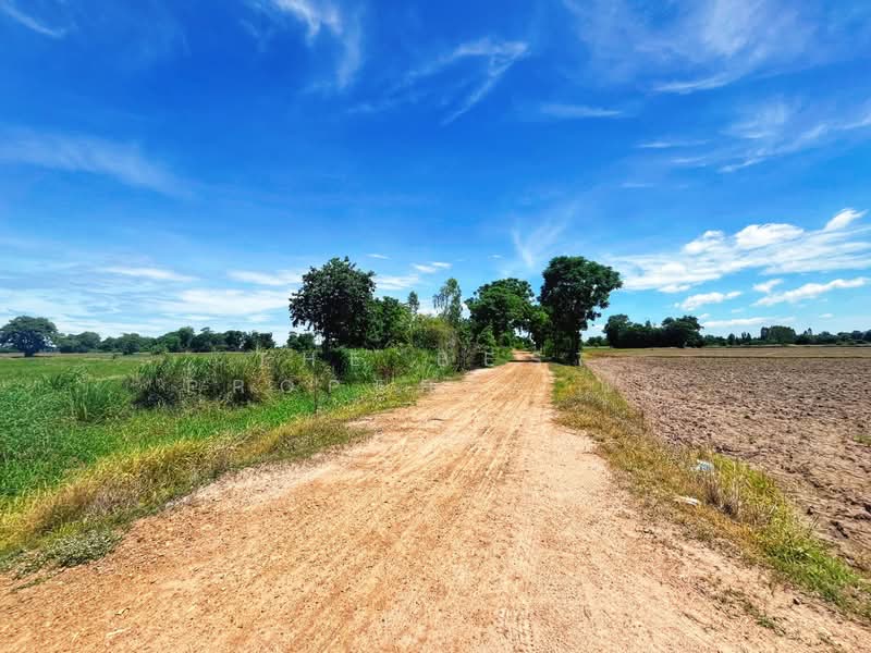 ที่ดินวัดสิงห์ ชัยนาท, Chai Nat, Nong Noi, Wat Sing, Chai Nat, , 12,376 sqm, Land For Sale, by The Best Property แอ้, 500416973 - DDproperty.com