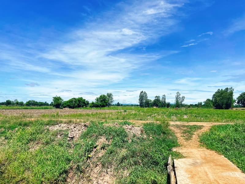 ที่ดินวัดสิงห์ ชัยนาท, ชัยนาท, หนองน้อย, วัดสิงห์, ชัยนาท, 12,376 ตร.ม., ที่ดิน ขาย, โดย The Best Property แอ้, 500416973 - DDproperty.com