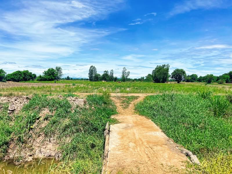 ที่ดินวัดสิงห์ ชัยนาท, Chai Nat, Nong Noi, Wat Sing, Chai Nat, , 12,376 sqm, Land For Sale, by The Best Property แอ้, 500416973 - DDproperty.com