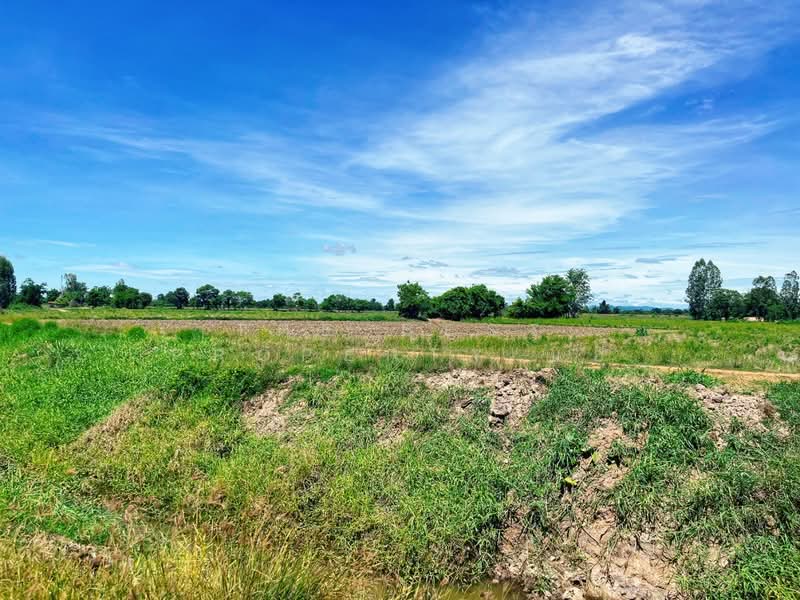 ที่ดินวัดสิงห์ ชัยนาท, Chai Nat, Nong Noi, Wat Sing, Chai Nat, , 12,376 sqm, Land For Sale, by The Best Property แอ้, 500416973 - DDproperty.com