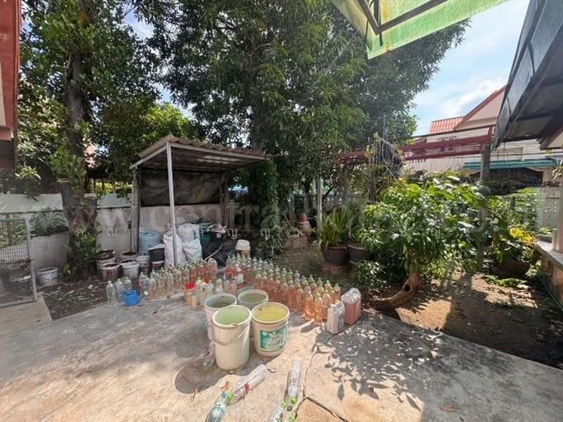 Baan Lanthog Tiwanon-Pak Kret 27 : บ้านลานทอง ติวานนท์-ปากเกร็ด 27, นนทบุรี, ถนนติวานนท์, บางพูด, ปากเกร็ด, นนทบุรี, 380 ตร.ม., บ้านเดี่ยว ขาย, โดย คุณ สุภิญญา ( หญิง ), 500417003 - DDproperty.com