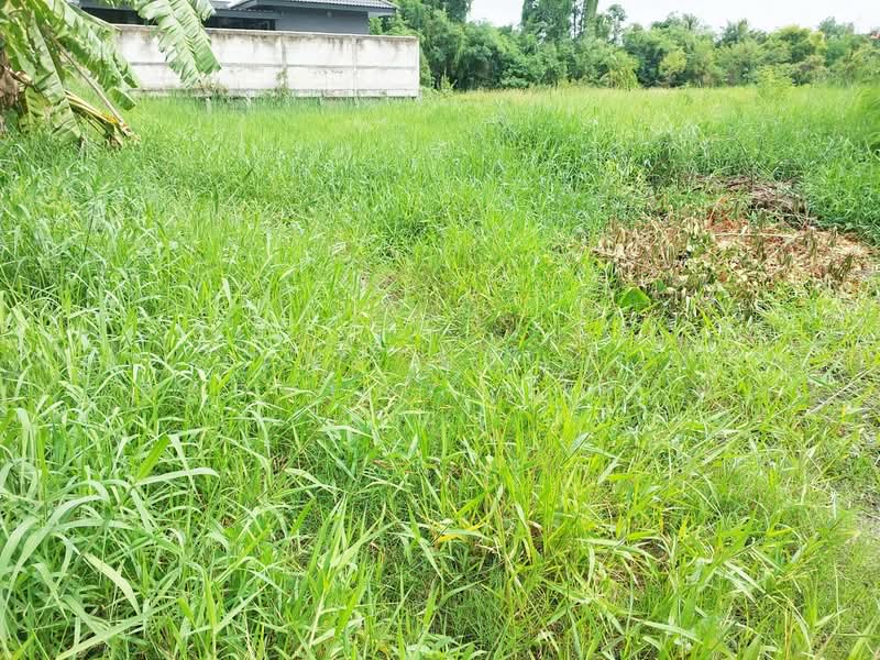 ที่ดินมีนบุรี กรุงเทพมหานคร, Bangkok, Saen Sab, Min Buri, Bangkok, , 400 sqm, Land For Sale, by The Best Property วรรณ, 500417031 - DDproperty.com