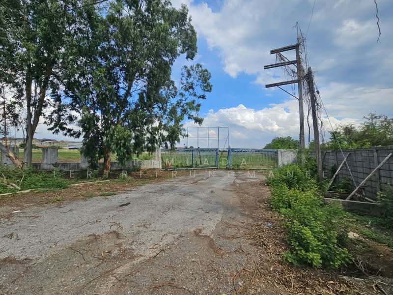 ที่ดินเปล่าติดถนน, Phra Nakhon Si Ayutthaya, Wang Chula, Wang Noi, Phra Nakhon Si Ayutthaya, , 80,000 sqm, Land For Sale, by Pimlada Lertritrungmanee, 500417057 - DDproperty.com