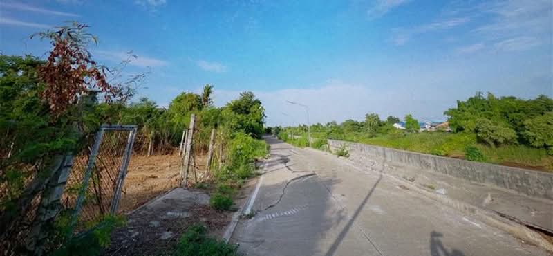 พิจิต, พิจิตร, เนินมะกอก, บางมูลนาก, พิจิตร, 1,600 ตร.ม., ที่ดิน ขาย, โดย จิระเมศร์ วราสิทธิ์สิริ, 500417077 - DDproperty.com