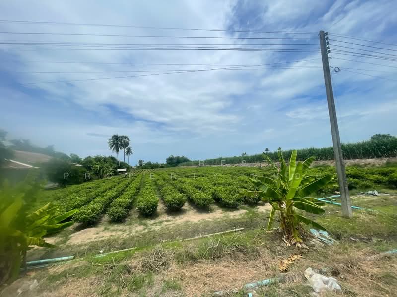 ที่ดินขาณุวรลักษบุรี กำแพงเพชร, Kamphaeng Phet, Yang Sung, Khanu Woralaksaburi, Kamphaeng Phet, , 4,424 sqm, Land For Sale, by The Best Property หน่อย, 500417185 - DDproperty.com