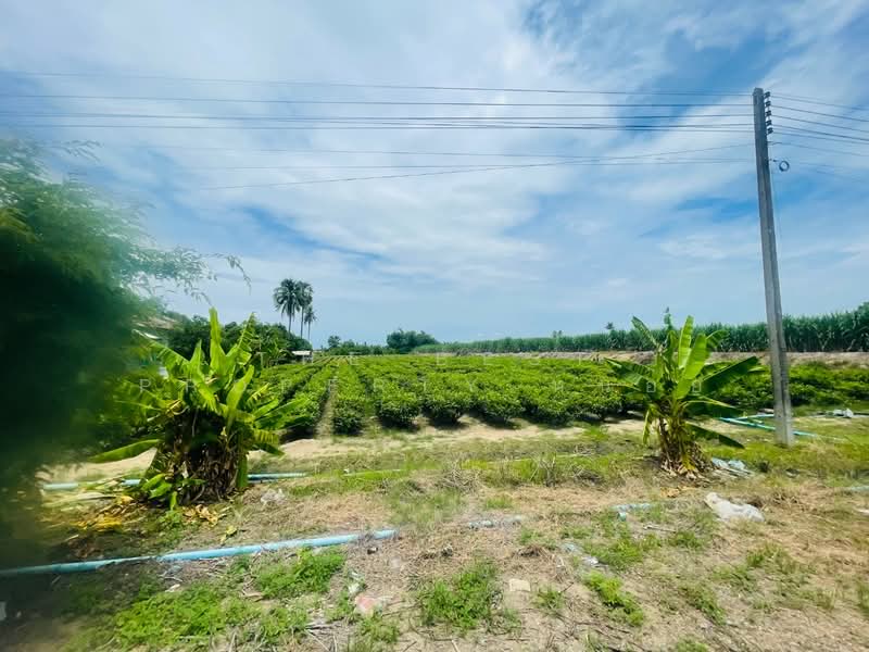 ที่ดินขาณุวรลักษบุรี กำแพงเพชร, Kamphaeng Phet, Yang Sung, Khanu Woralaksaburi, Kamphaeng Phet, , 4,424 sqm, Land For Sale, by The Best Property หน่อย, 500417185 - DDproperty.com